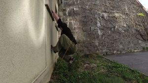 Cat hang 180