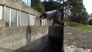 Dive kong